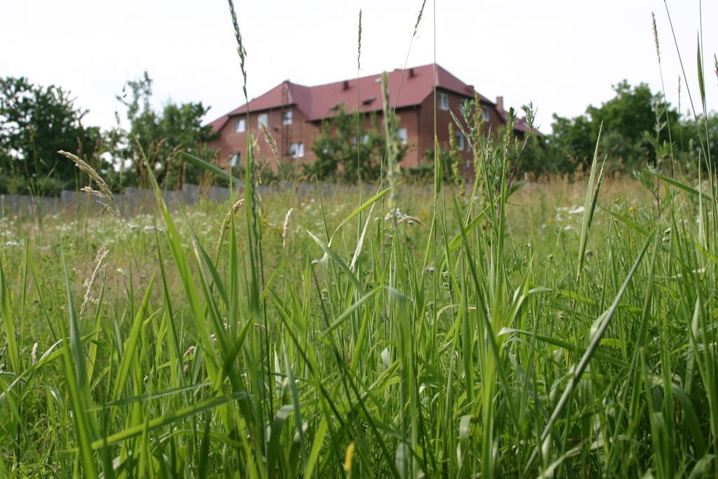 Motel U Olka Boczow Eksteriør billede